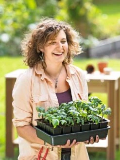 Growease Seed Starter Kit -Outdoor Garden Supply Store 8589987 0446 tif