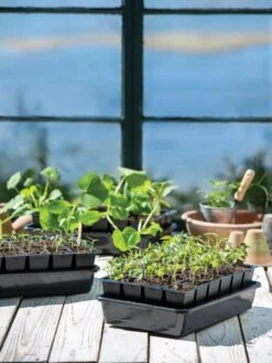 Growease Seed Starter Kit -Outdoor Garden Supply Store 8589987 7871 tif