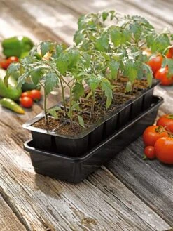 Growease Seed Starter Kit -Outdoor Garden Supply Store 8589988 1056 tif