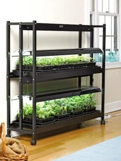 New Release 17 2-Tier SunLite® Garden