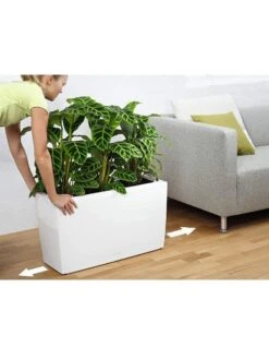 Lechuza® Cararo Rectangular Indoor Planter With Casters -Outdoor Garden Supply Store 8590295 03v