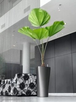 Lechuza® Delta Premium Self-Watering Planters -Outdoor Garden Supply Store 8590299 02V tif