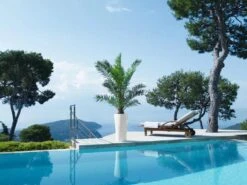 Lechuza® Delta Premium Self-Watering Planters -Outdoor Garden Supply Store 8590299 04V tif