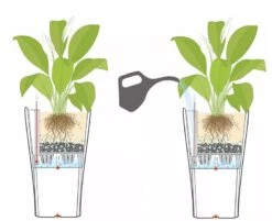 Lechuza® Delta Premium Self-Watering Planters -Outdoor Garden Supply Store 8590299 07V tif