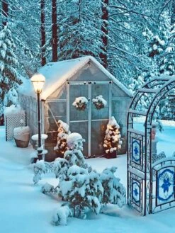 Canopia® By Palram Harmony™ Snap & Grow Greenhouse, 8' 35 Canopia® By Palram Harmony™ Snap & Grow Greenhouse, 8' -Outdoor Garden Supply Store 8591048 06V jpg