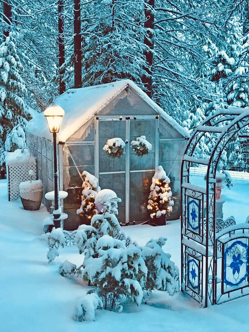 Canopia® By Palram Harmony™ Snap & Grow Greenhouse, 8' 16 Canopia® By Palram Harmony™ Snap & Grow Greenhouse, 8' - Image 16