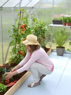 Canopia® By Palram Essence™ Greenhouse, 8' X 12' 16 Canopia® By Palram Essence™ Greenhouse, 8' X 12' -Outdoor Garden Supply Store 8591356 04V tif