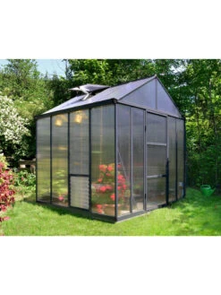 Canopia® By Palram Glory™ Greenhouse, 8' -Outdoor Garden Supply Store 8591547 01v