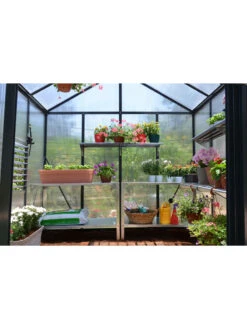 Canopia® By Palram Glory™ Greenhouse, 8' -Outdoor Garden Supply Store 8591547 02v