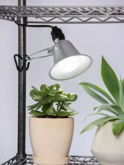 Outdoor Garden Supply Store -Outdoor Garden Supply Store 8592051 5478