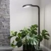 Agrobrite Floor Plant Lamp
