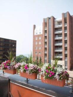 Adjustable Self-Watering Railing Planter, 24" -Outdoor Garden Supply Store 8592173TC 2383 tif