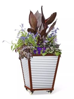 Galvanized Self-Watering Planters -Outdoor Garden Supply Store 8592177 5066 tif