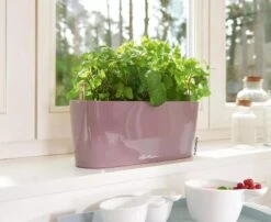 Lechuza® Delta Self-Watering Windowsill Planters -Outdoor Garden Supply Store 8592361 01V tif
