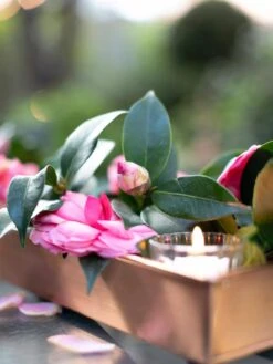 Rectangular Copper Plant Tray, 18"x4" -Outdoor Garden Supply Store 8593532 02IN tif