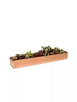 Rectangular Copper Plant Tray, 18"x4" -Outdoor Garden Supply Store 8593532 2892 tif