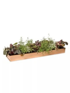 Rectangular Copper Plant Tray, 24" X 5" -Outdoor Garden Supply Store 8593533 2878 tif