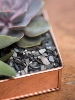 Rectangular Copper Plant Tray, 24" X 5" -Outdoor Garden Supply Store 8593533 4570 tif