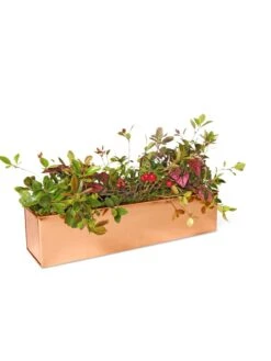 Tall Rectangular Copper Plant Tray, 18" X 5" X 4" 8 Tall Rectangular Copper Plant Tray, 18" X 5" X 4" -Outdoor Garden Supply Store 8593534 2899 tif