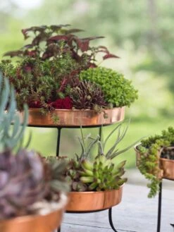 Small Round Copper Plant Tray, 10" -Outdoor Garden Supply Store 8593564 4399 tif