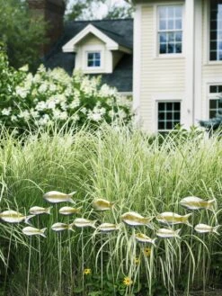 Fish Out Of Water Garden Stakes, Set Of 5 -Outdoor Garden Supply Store 8593672 9124 tif