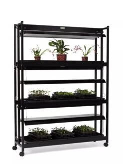 High Intensity 3-Tier SunLite® Garden -Outdoor Garden Supply Store 8593944 1608 tif