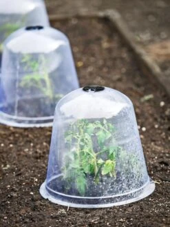 Large Garden Cloches, Set Of 3 -Outdoor Garden Supply Store 8593984 9432 tif