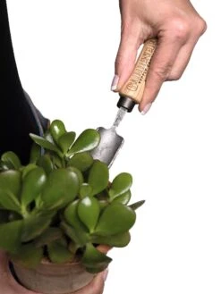 Gardener's Lifetime Mini Trowel -Outdoor Garden Supply Store 8594146 0111 tif