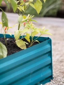 Demeter Corrugated Metal Raised Bed, 34" X 34" -Outdoor Garden Supply Store 8594183 470 tif