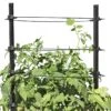 Gardener's Revolution® Classic Tomato Extension