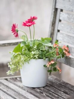 Viva Round Self-Watering Planter, 7" Diameter -Outdoor Garden Supply Store 8595222 1139 tif