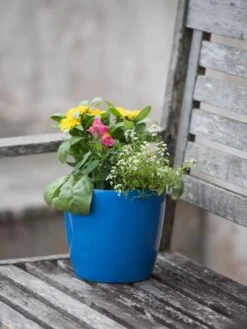 Viva Round Self-Watering Planter, 7" Diameter -Outdoor Garden Supply Store 8595222 1143 tif