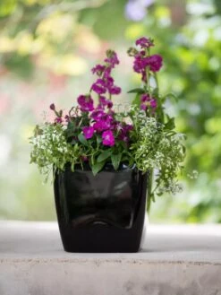 Viva Square Self-Watering Planter, 7" Diameter -Outdoor Garden Supply Store 8595223 1107 tif