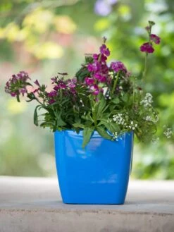 Viva Square Self-Watering Planter, 7" Diameter -Outdoor Garden Supply Store 8595223 1113 tif