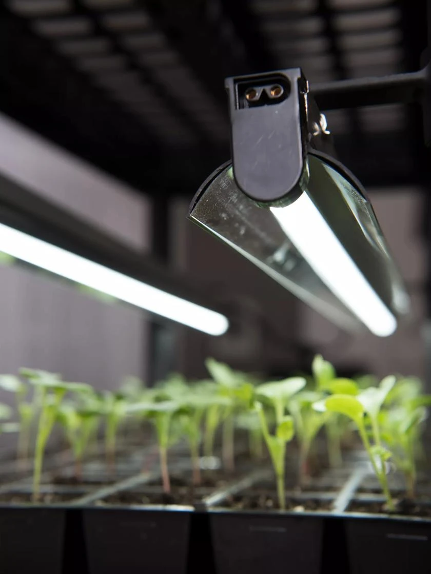 LED Stack-n-Grow Lights - Base Unit 2 LED Stack-n-Grow Lights - Base Unit - Image 2