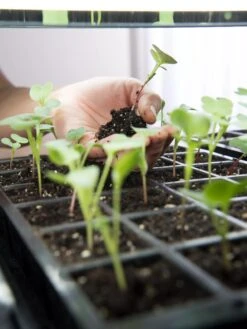 LED Stack-n-Grow Lights - Base Unit 7 LED Stack-n-Grow Lights - Base Unit -Outdoor Garden Supply Store 8595770 7373 tif