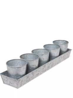 Galvanized Herb Planters With Rectangular Tray -Outdoor Garden Supply Store 8595903 3924 tif