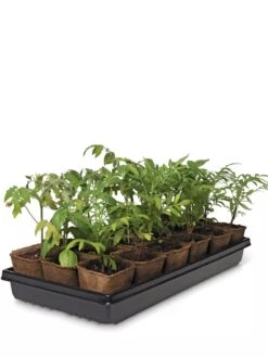 3-1/2” Square Biodegradable Pots & Tray Set -Outdoor Garden Supply Store 8595968 3916 tif