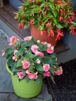 Eezy Gro Self-Watering Planters -Outdoor Garden Supply Store 8596427 0034 tif