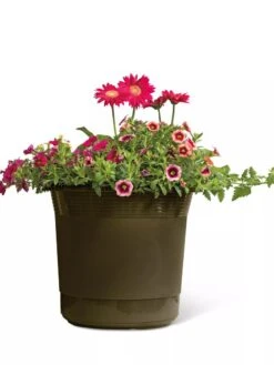 Eezy Gro Self-Watering Planters -Outdoor Garden Supply Store 8596427 108 tif