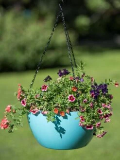 Viva Self-Watering Hanging Basket, 14" Diameter -Outdoor Garden Supply Store 8596442 0859 tif