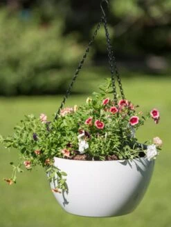 Viva Self-Watering Hanging Basket, 14" Diameter -Outdoor Garden Supply Store 8596442 0864 tif
