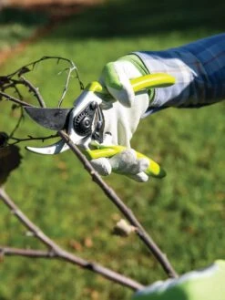 Gardener's Pro Pruner #2 -Outdoor Garden Supply Store 8596605 032 tif