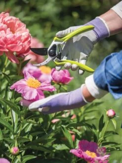 Gardener's Pro Pruner #2 -Outdoor Garden Supply Store 8596605 1261 tif