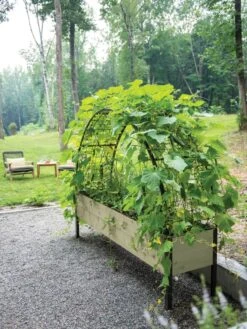 Self-Watering Elevated Planter Box, 2' X 8' -Outdoor Garden Supply Store 8596760 0046 tif