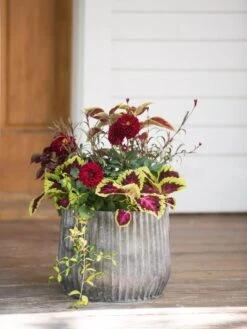 Galvanized Ribbed Planters -Outdoor Garden Supply Store 8597435 1693 tif