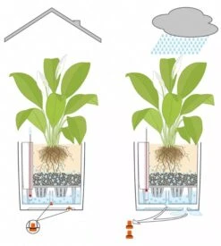 Lechuza® Cube Premium Planters -Outdoor Garden Supply Store 8597506 05V tif