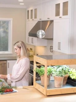 Low Bamboo LED Grow Light Garden -Outdoor Garden Supply Store 8597720 0816 tif