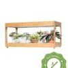 Low Bamboo LED Grow Light Garden