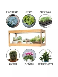 Low Bamboo LED Grow Light Garden -Outdoor Garden Supply Store 8597720 3